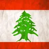 amir44663