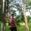 rajin693