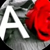 user8065777131721