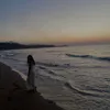 ali_aneesaa1