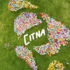 thisiscitna