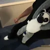 .vtmv