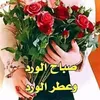 user81843582567913
