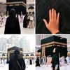 amiraahmed3441