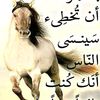 user2832678005824