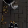 4ytno