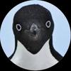 penguincouldfly2