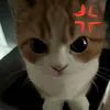 lalachimi