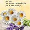 dulcilene.alves.d4