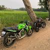 lidpanglima155