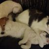 jake_1742_