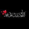 user74666661388853
