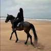 nadia.nadia3117