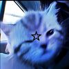 william_castro_47