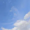 jm_teoxon