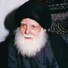 mohammed3l42