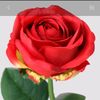 user11113846