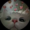 user516291280