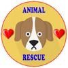 Rescued Animals