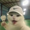 immiffylover
