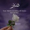 inayatfatima1122