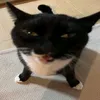 bogagrando2