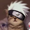 zaasukaakakashi