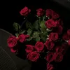 zin_nb12