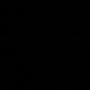 lissbthc14