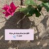 adsam87