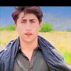 muhammad.rehman1233