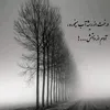 miladahmadi4435