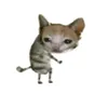 its_prnx_ss