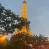 ellabella_bus123