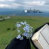 dodey.algdafi