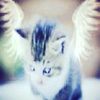 olx_4092