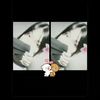 mi.ck30