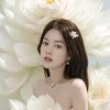 nguyenminhchauag