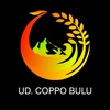 UD. COPPO BULU ✴️