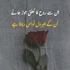 umar.qurashi.quras