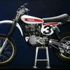 lady36034