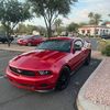 xerxesthestang