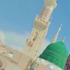 hamid.ali8356