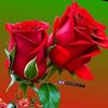 rubel.hosen397