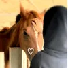 m7amad_091