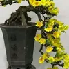 bin.xanh645