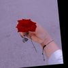 minna.yasir