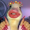 sheishawoye1