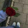 usermanebo1