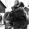 equestrian_kaislaa